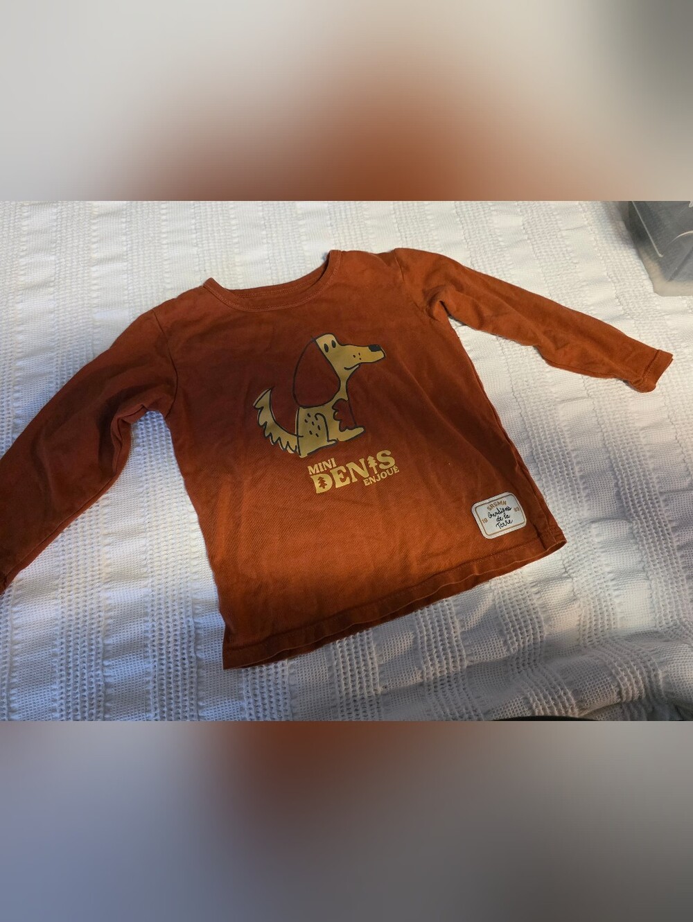 Mini Denis Rust Orange Long-Sleeve Kids Tee with Dog Graphic